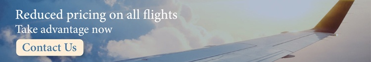 crisis-management-covid19-rocketseed-email-signatures An email banner with the message "Reduced pricing on all flights Take advantage now" and a "CONTACT US" button, over a photo of the wing of an airplane.