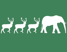 Cut through the clichés this Christmas... 14 A row of deer icons and one elephant icon in white on a green background.