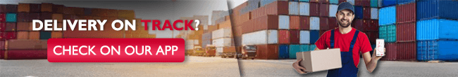 Delivery-on-track An email banner with the message "DELIVERY ON TRACK? CHECK ON OUR APP" next to a photo of a delivery man holding a parcel and a smartphone.