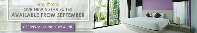 Email signature banner example_product launch Good example of a product launch email signature banner