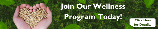 Join-our-wellnes-program-today-Example An email marketing banner that reads "Join our wellness program today!" with a call to action that reads "click here for details" featuring a hand holding seeds that forms the shape of a heart
